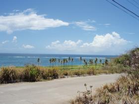 Image No.1-Terre à vendre à Saint Kitts