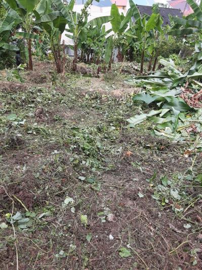 Image No.5-Maison de 6 chambres à vendre à Dominique