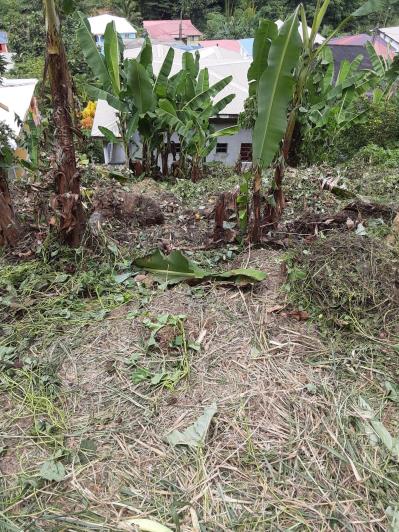 Image No.8-Maison de 6 chambres à vendre à Dominique