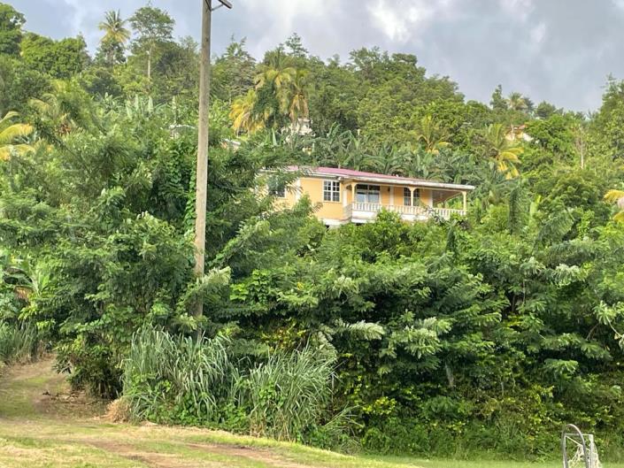 Property for sale in Dominica 12 properties A Place in the Sun