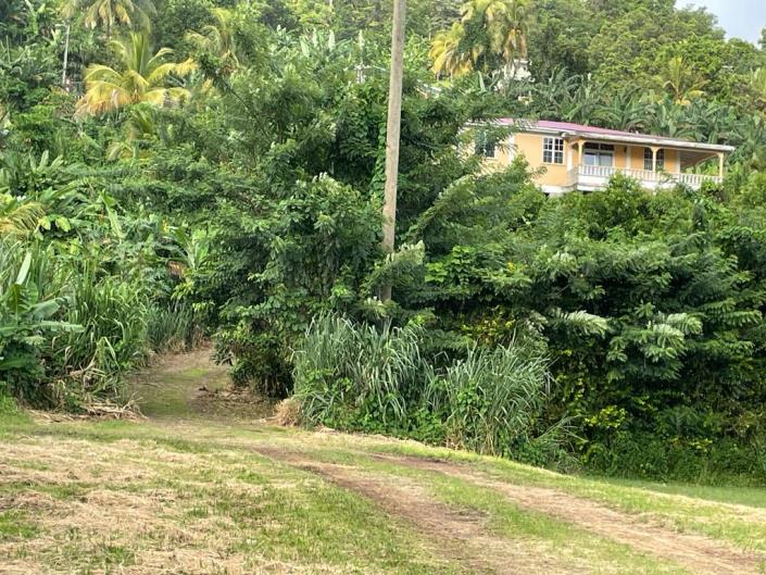 Property for sale in Dominica 12 properties A Place in the Sun