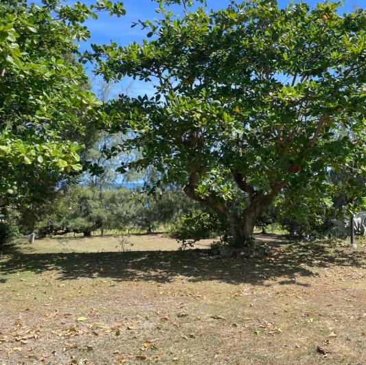 Image No.12-4 Bed Bungalow for sale