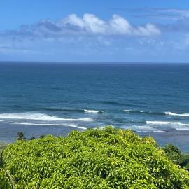 IMG-20230606-WA0036