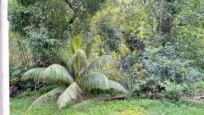 Image No.9-4 Bed House for sale