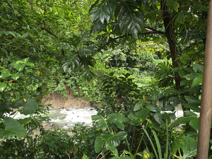 Image No.32-4 Bed House for sale