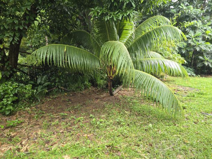 Image No.34-4 Bed House for sale