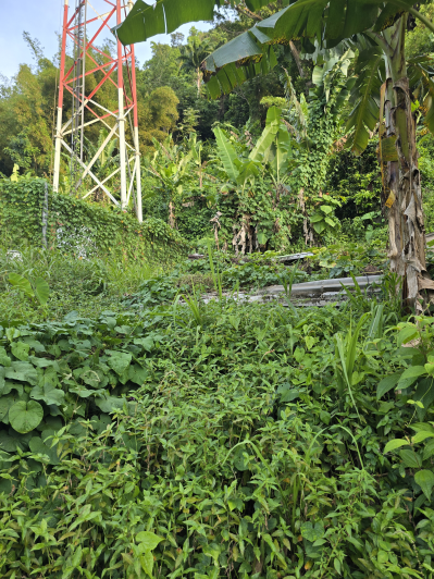 Image No.2-Land for sale