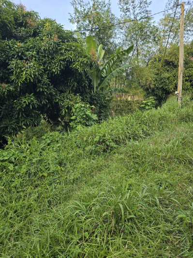 Image No.4-Land for sale