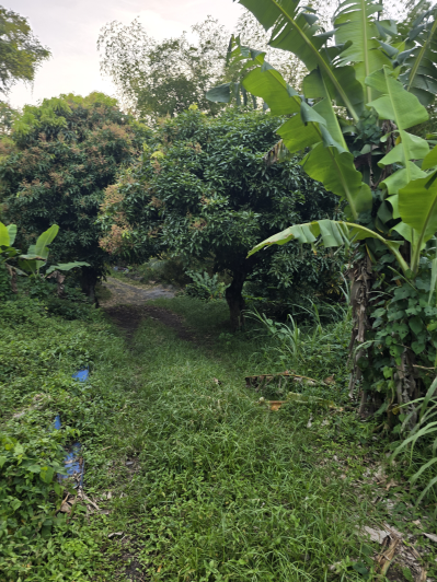 Image No.7-Land for sale