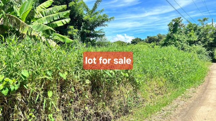Image No.1-Land for sale