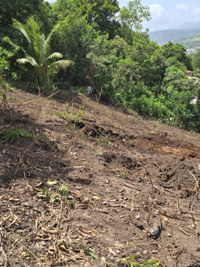 Image No.2-Land for sale