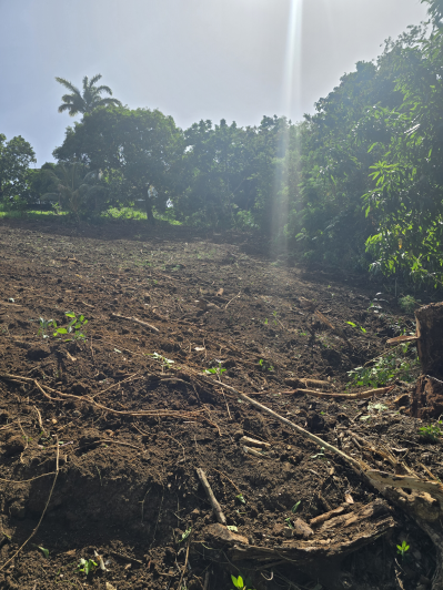 Image No.3-Land for sale