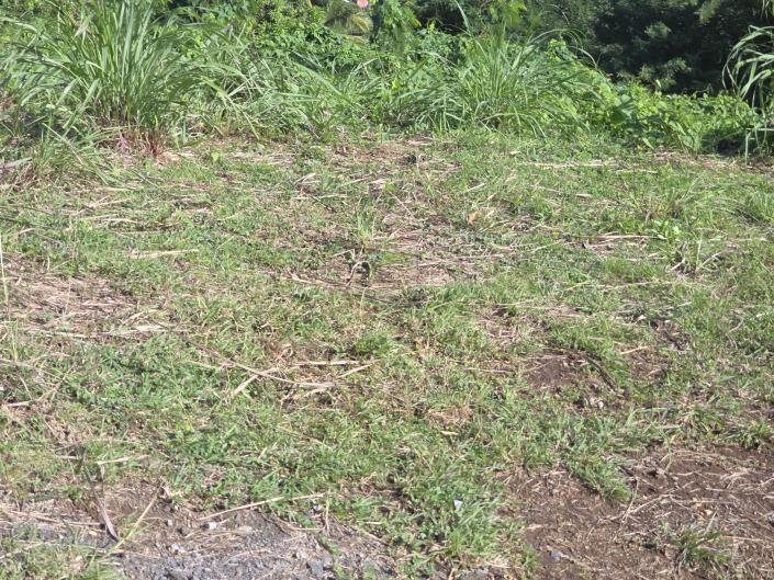 Image No.5-Land for sale