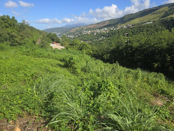 Image No.4-Land for sale