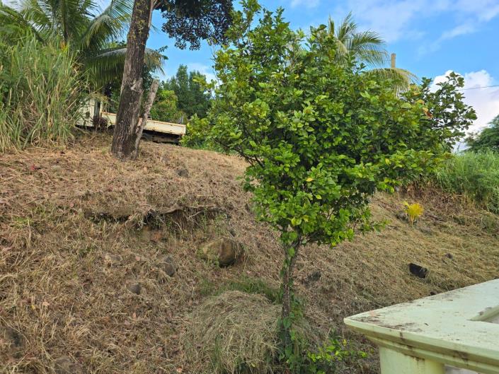 Image No.6-2 Bed Bungalow for sale