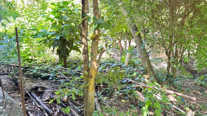 Image No.7-6 Bed Commercial for sale