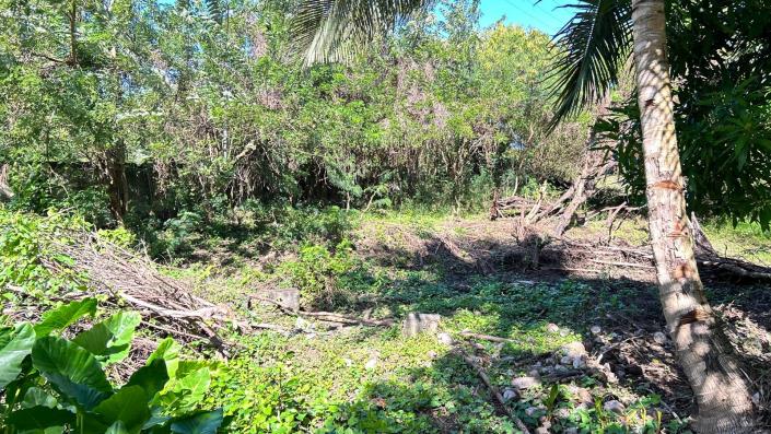 Image No.9-6 Bed Commercial for sale