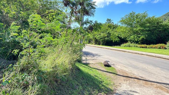 Image No.12-6 Bed Commercial for sale