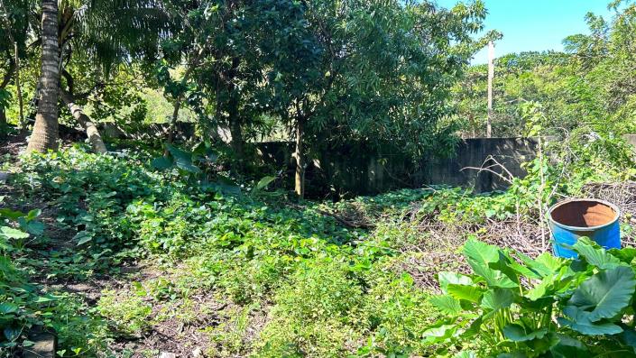 Image No.11-6 Bed Commercial for sale