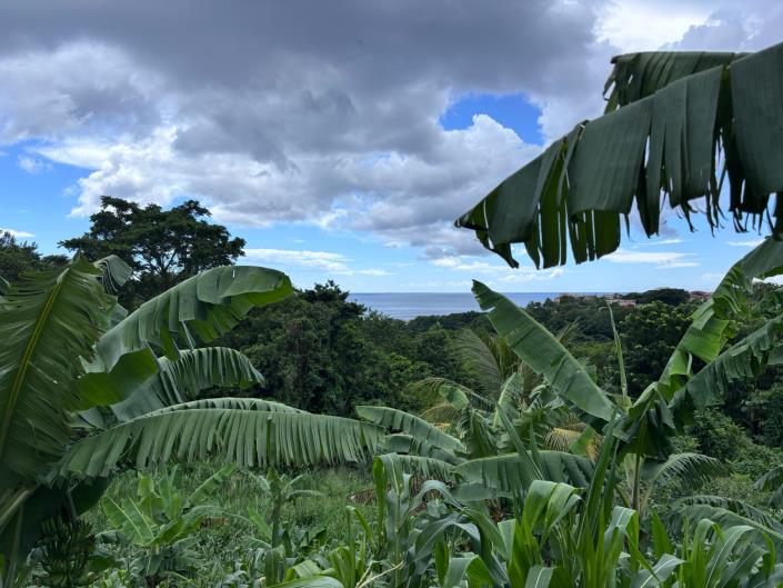 Image No.6-Land for sale