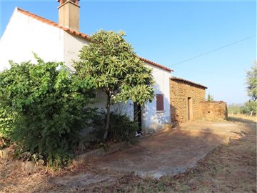 1 - Castelo Branco, Property