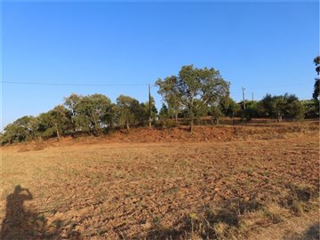 1 - Castelo Branco, Property