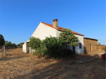 1 - Castelo Branco, Propriété