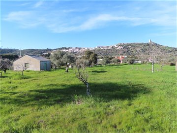1 - Castelo Branco, Property
