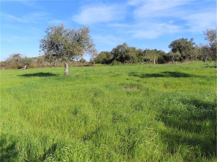 Image No.11-Property for sale