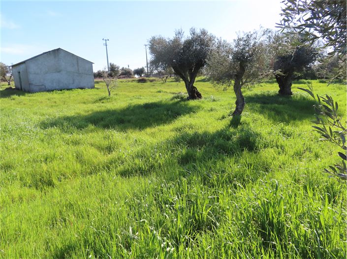 Image No.12-Property for sale