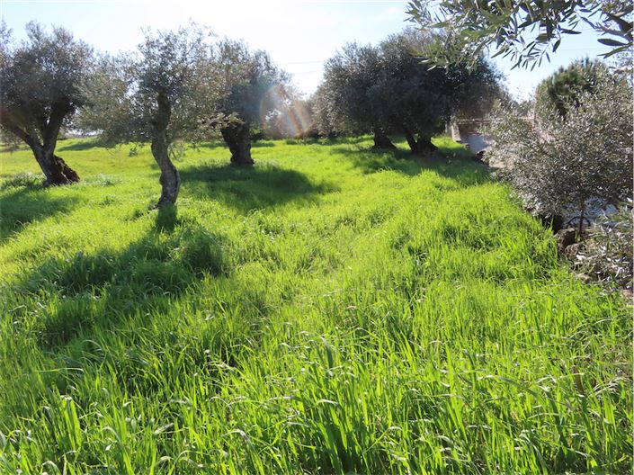 Image No.13-Property for sale