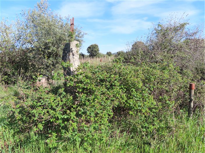 Image No.14-Property for sale