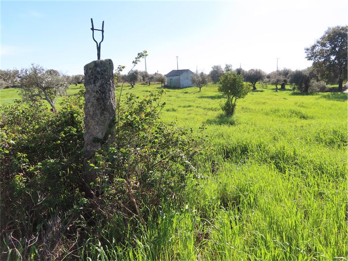 Image No.15-Property for sale