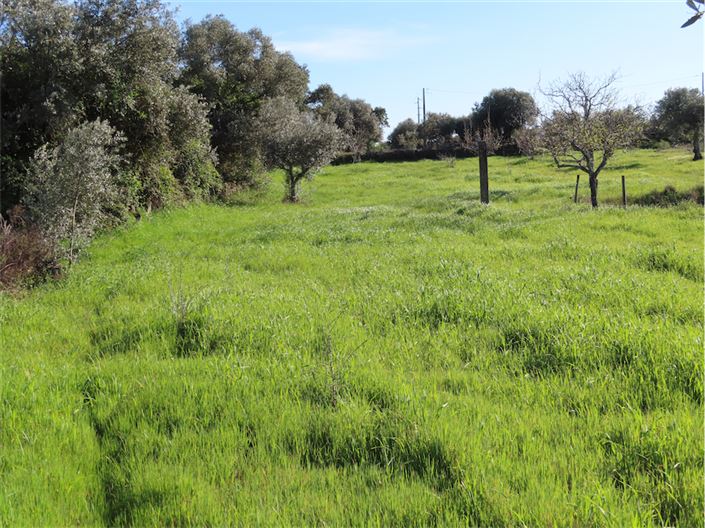 Image No.17-Property for sale