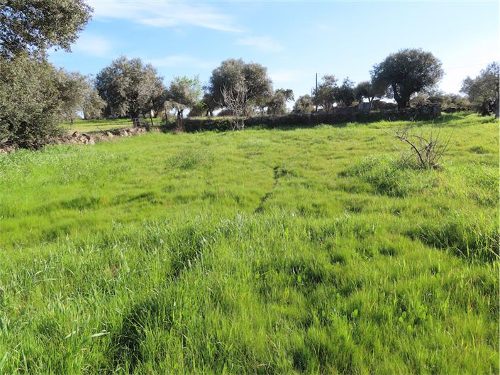 Image No.21-Property for sale