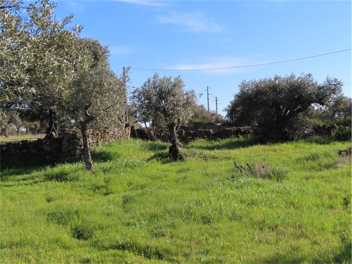 Image No.4-Property for sale