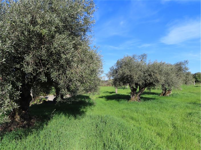 Image No.10-Property for sale