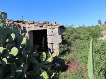 1 - Castelo Branco, Property