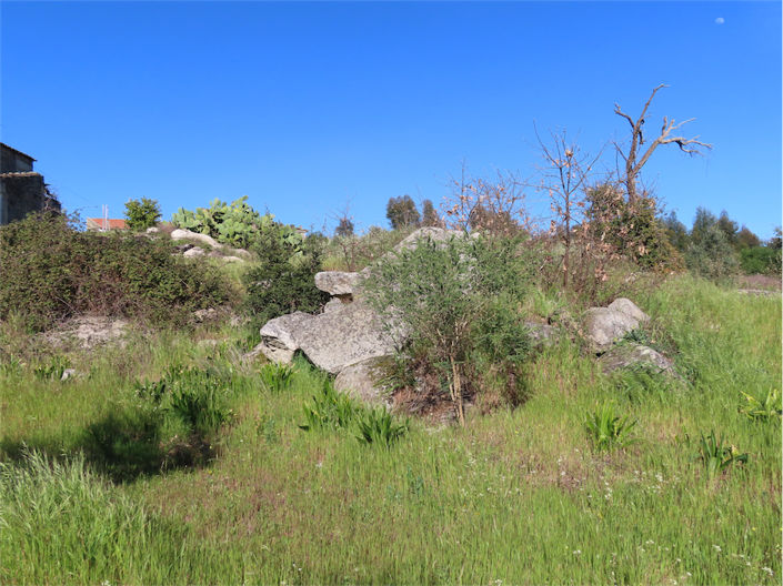 Image No.11-Propriété à vendre à Castelo Branco