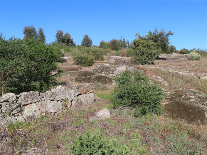 Image No.13-Propriété à vendre à Castelo Branco