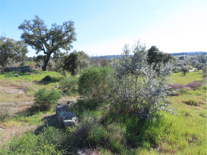 Image No.14-Propriété à vendre à Castelo Branco