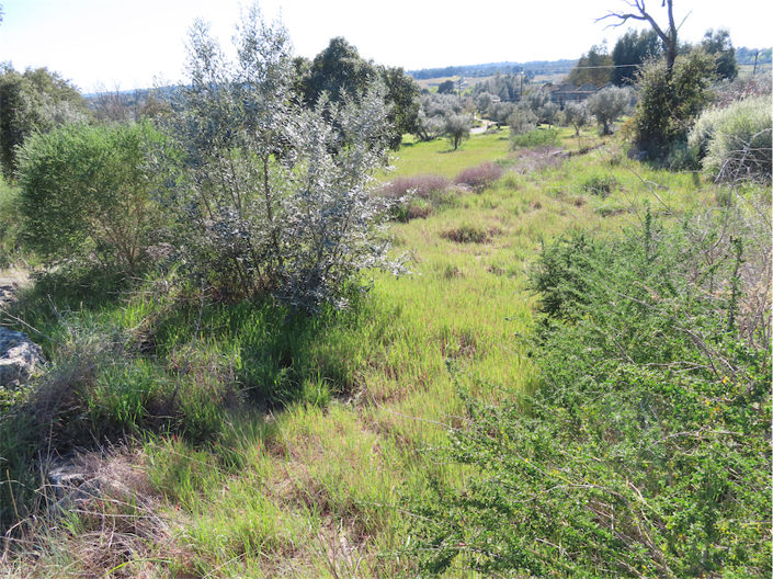 Image No.15-Propriété à vendre à Castelo Branco