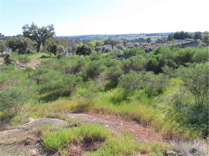 Image No.17-Propriété à vendre à Castelo Branco