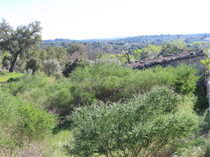 Image No.18-Propriété à vendre à Castelo Branco