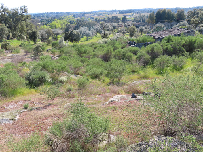 Image No.20-Propriété à vendre à Castelo Branco