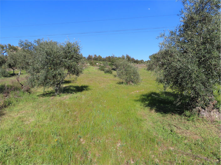 Image No.3-Propriété à vendre à Castelo Branco