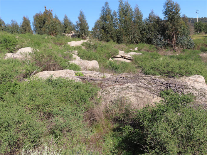 Image No.22-Propriété à vendre à Castelo Branco