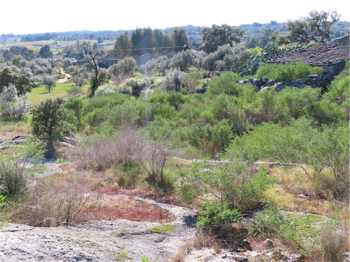 Image No.23-Propriété à vendre à Castelo Branco