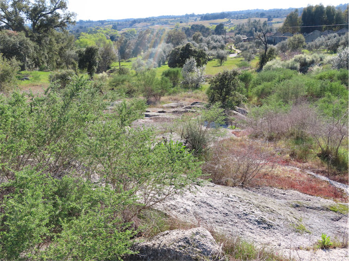 Image No.24-Propriété à vendre à Castelo Branco