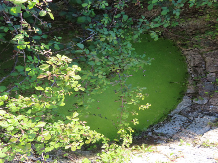 Image No.27-Propriété à vendre à Castelo Branco